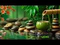 Download Lagu Relaxing Piano Music: Sleep Music, Water Sounds, Relaxing Music, Spa Music