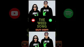 The #weed song ft #kaceytron & insect alien is out now #stonermusic #420 #420music #peteyplastic