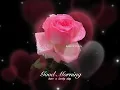 Good Morning Have A Lovely Day gif What s Up Status Good Morning Images