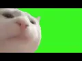 Download Lagu cat vibing greenscreen perfect loop