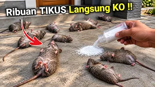 KENAPA TIDAK DARI DULU‼️Padahal banyak yang butuh cara ini