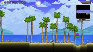 Squirrel Hook Bug
