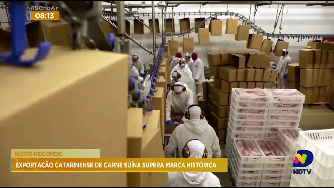 Novo recorde: exportação catarinense de carne suína supera marca histórica