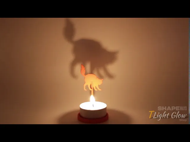 Halloween Cat video thumbnail