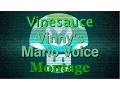 Download Lagu [Vinesauce] Vinny's Mario Voice / Impressions