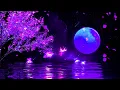 Download Lagu Good Night Music | Calm Deep Sleep Music | 528Hz Positive Energy Meditation Music