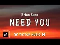 Lagu Need You - Brian Zeno (Lyrics) | Lord, I need you Every hour, every moment.