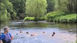                     دندنها