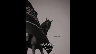 اليوم الوطني91 الوطن قلبه كبير 