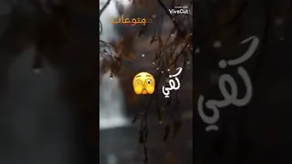 سماره هدلي حيلي حالات واتس حب حالات واتس رومنسية 