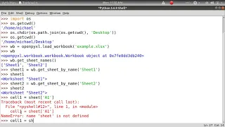 Automating SpreadSheet with Python and Openpyxl