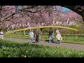April in London cherry blossoms at Kew Gardens tulips and art galleries