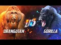 Gorilla VS Orangutan