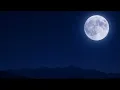 1 Hour Deep Sleep Flute for Insomnia: Steady Tone, No Rhythm | Rest Entry Phase — Night Version | 4K
