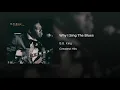 Why I Sing The Blues