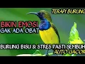 Download Lagu 5 DETIK AUTO GACOR‼️ TERAPI AIR UNTUK SEMUA JENIS BURUNG , GEMERICIK AIR TERAPI BURUNG ,TERAPI AIR  Download Lagu 5 DETIK AUTO GACOR‼️ TERAPI AIR UNTUK SEMUA JENIS BURUNG , GEMERICIK AIR TERAPI BURUNG ,TERAPI AIR