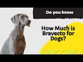How Much is Bravecto for Dogs All the sizes and prices of bravecto chewable tablets