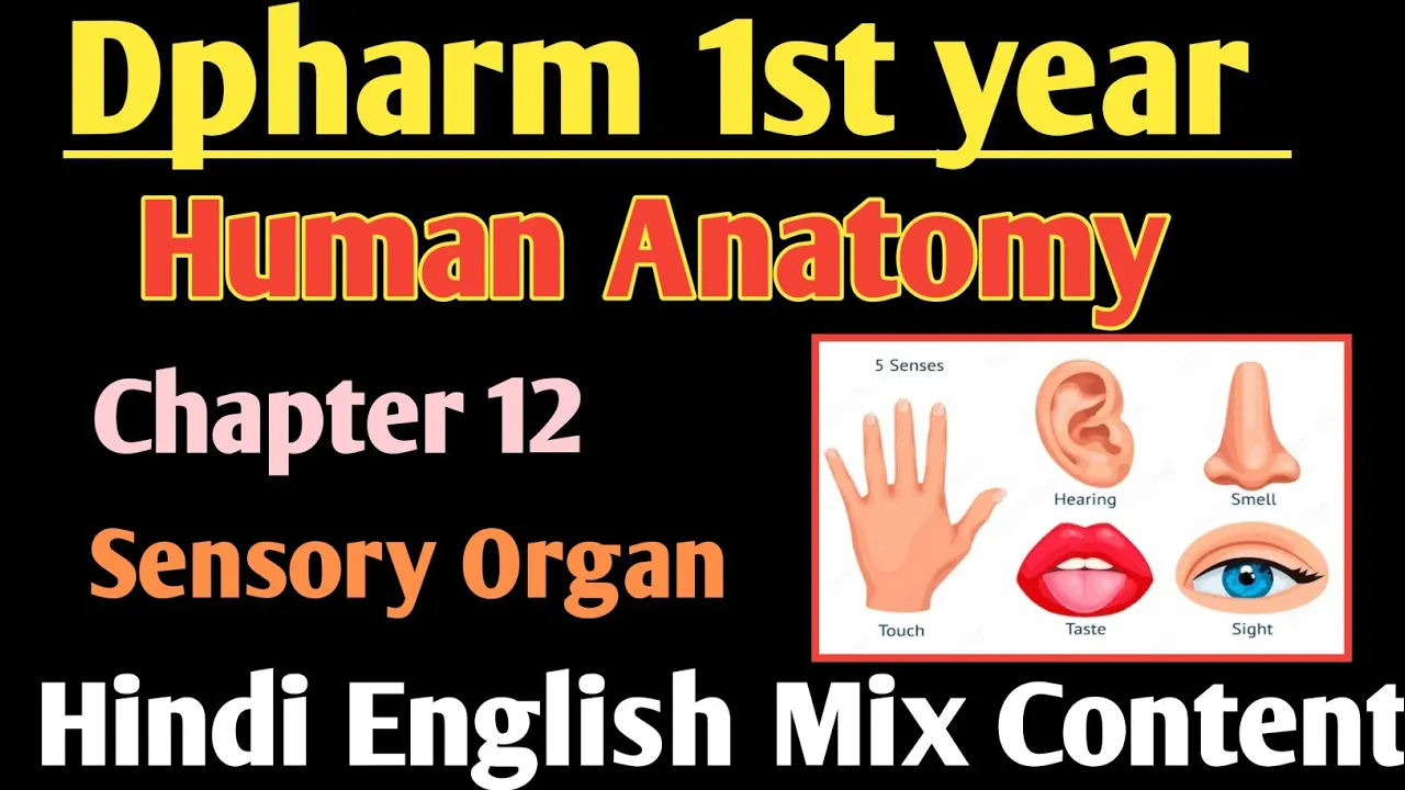 Human Anatomy chapter 12 in Hindi|| Sensory Organ in Hindi|| Dpharm 1st year in Hindi