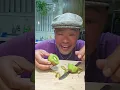 Download Lagu How Do You Open A Kiwi? 🤣