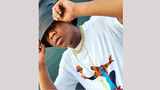 kabza de small lengane ft young stunna leak 