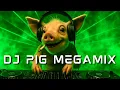 Lagu DJ Pig Trance Techno Psycho Megamix | Original Music 2025