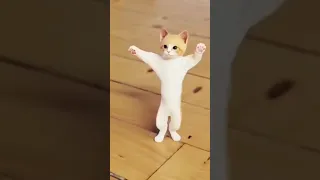 وناسة وناسة 