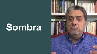 Sombra | Psicologia Junguiana | Dr. Waldemar Magaldi Filho