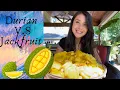 Jackfruit vs Durian