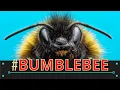 Everything You Need to Know About bumblebees
