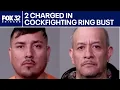 Cockfighting ring busted in Joliet 2 charged