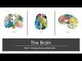 Lecture 3 3 - The Brain Part 1 Introduction to Glial Cells
