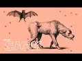 What Happens When a Human Gets Rabies?