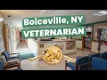 Veterinarian Boiceville NY