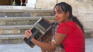                      دفتر الأوجاع دندنها