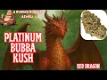 DO NOT Try This THC Product Red Dragon - Platinum Bubba Kush Legal Flower