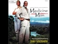 Download Lagu Jerry Goldsmith - The Trees [MEDICINE MAN, USA - 1992]