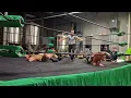 Man vs woman pro wrestling in Florida