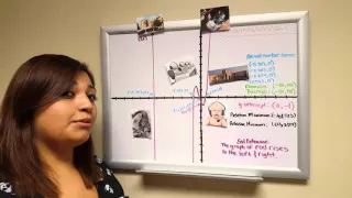 Birt ay Polynomial Project