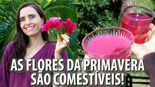Estas FLORES VALEM OURO pra saúde! Muitos benefícios! COZINHEI COM ELAS!