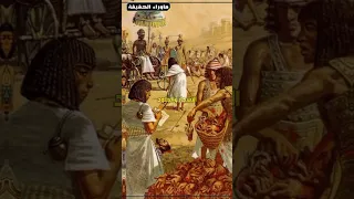 الشدة المستنصرية اكل لحوم الكلاب والقطط Shorts مصر 