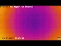 Fall Migration 2022 Thermal Camera - 2022 2 05 AM