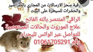 رقية سحر الارسالات من المجاري بالصراصير والحشرات الفئران والنمل رشوه في البيت للسيطرة على البيت 