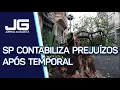 Download Lagu SP ainda contabiliza os prejuízos após temporal