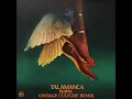Talamanca (Vintage Culture Extended Remix)