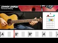 Tennessee Whiskey - Chris Stapleton | EASY GUITAR LESSON | Scrolling Chords & Lyrics