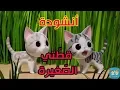 أنشودة قطتي الصغيرة واسمها نميرة