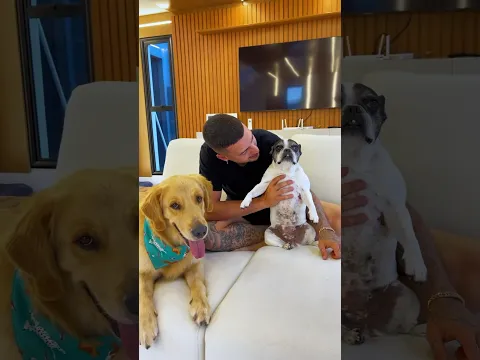 AGORA TEM BOX PETIKO PRA TODO MUNDO