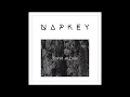 Napkey - Tokyo at Dusk