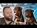 Lagu How To Train 2 PUPPIES At The Same Time!