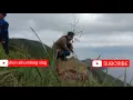 Download Lagu Lagu terbaru ( Aek sigara ni api)